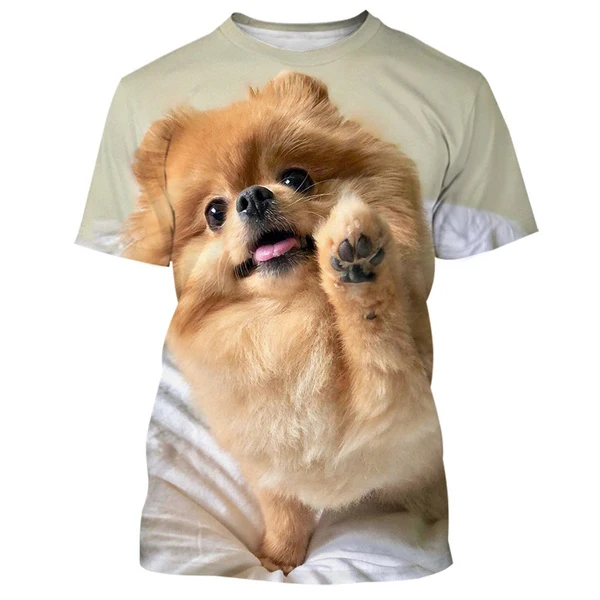 2023 Новая летняя горячая распродажа милая и забавная собака померанский шпиц 3D-печать высококачественные мужские и женские футболки топы - 0