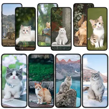 Kitten Cat Lovely Pets Мягкий чехол для телефона для Xiaomi Redmi Note 11 10 9 8 Pro 9S 10S 11S 9A 9C NFC 9T 10A 10C 8A Чехол