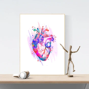 Человеческое сердце Анатомическое искусство Плакаты и принты Медицинская анатомия Настенное искусство Живопись Акварельная медицина Картина Врачи Офис Декор